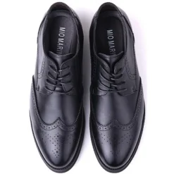 Mio Marino Men's Speckled Wingtip Laced Dress Shoes